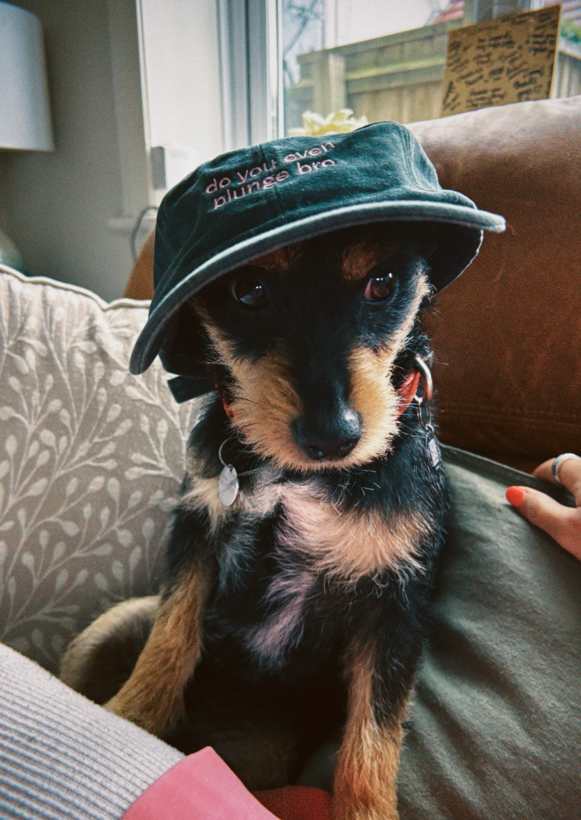 EMBROIDERED CAPS