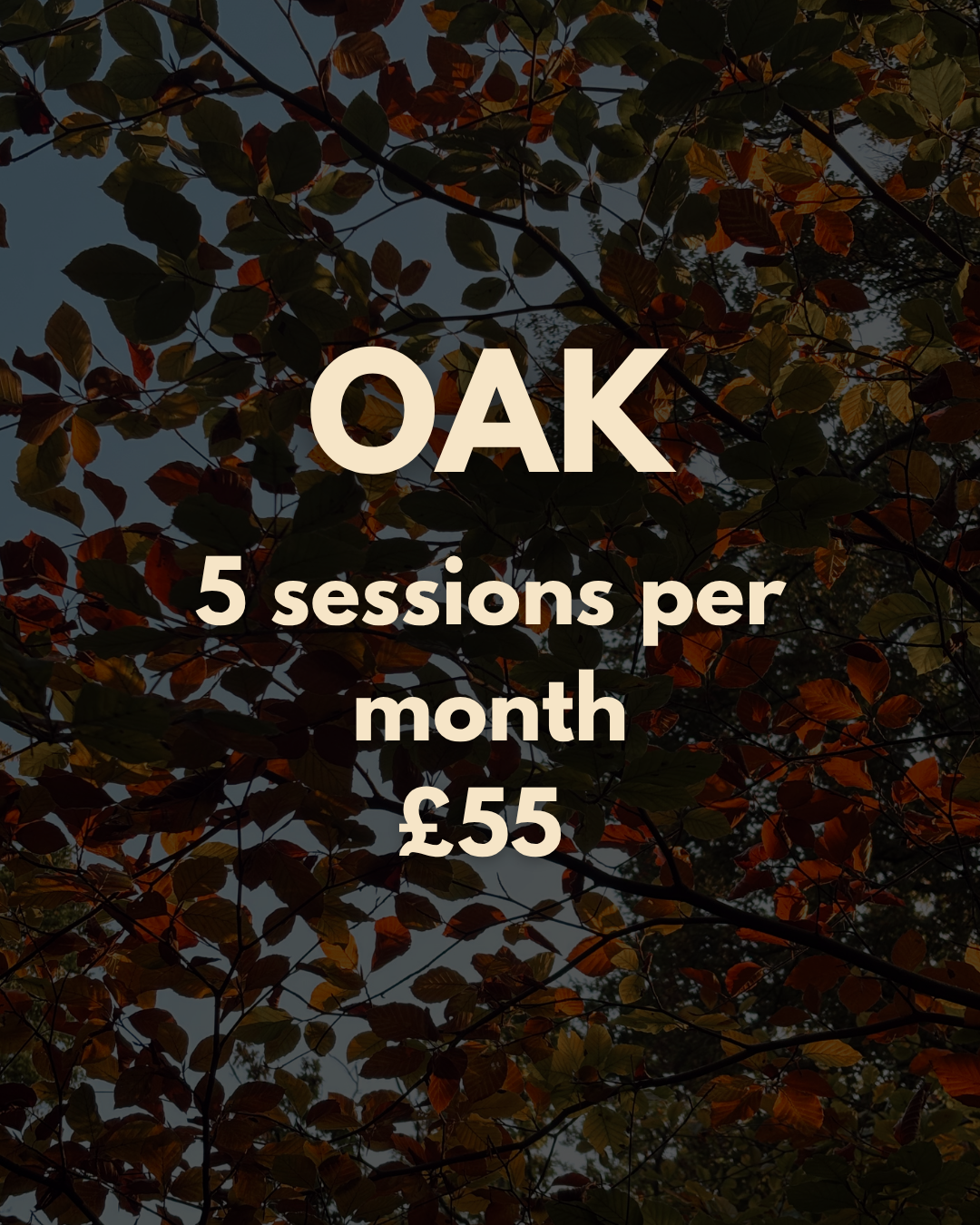 THE OAK MEMBERSHIP | 5 SESSIONS