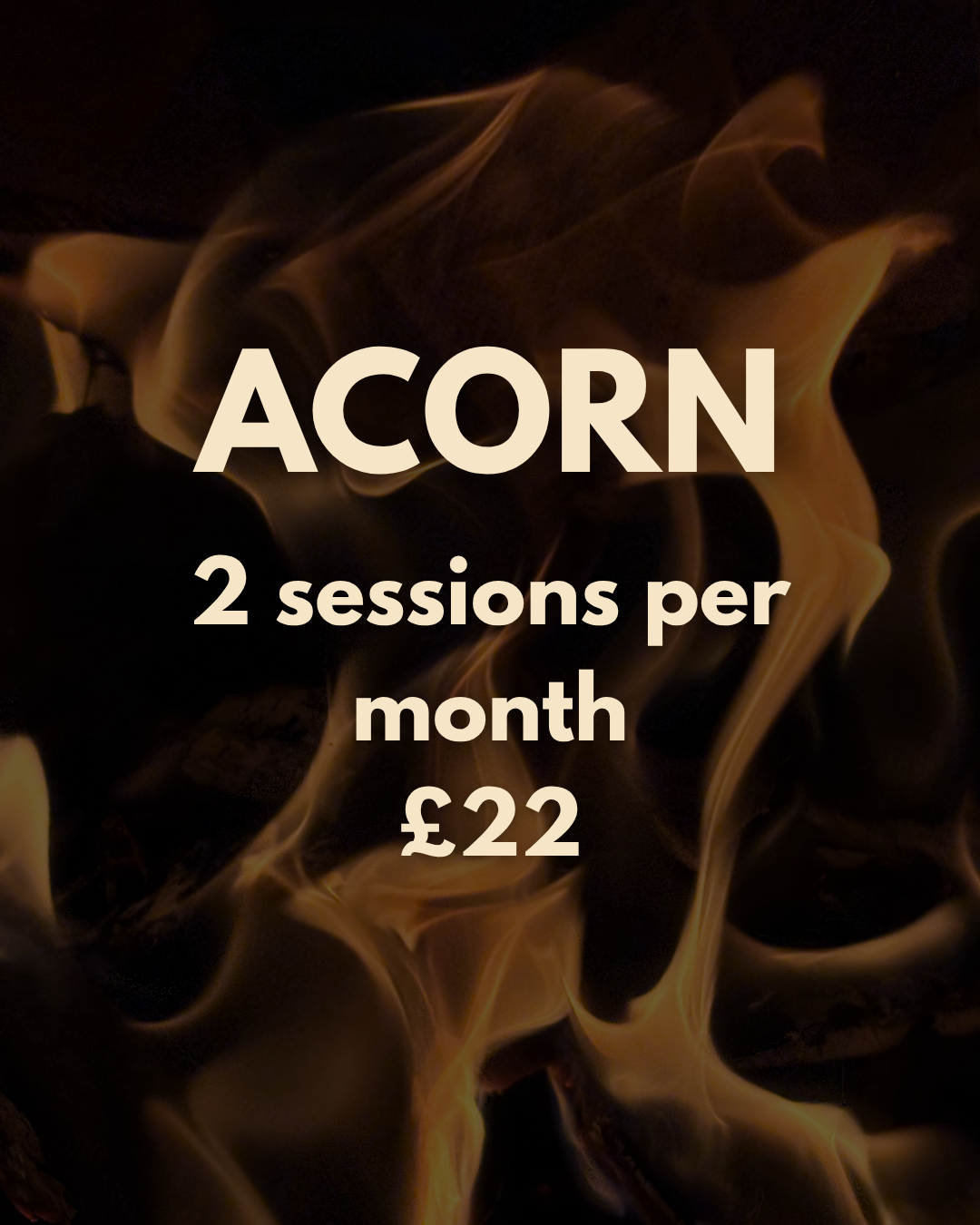 THE ACORN MEMBERSHIP | 2 SESSIONS
